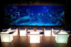 SEA LIFE London Aquarium Venue Hire London venues